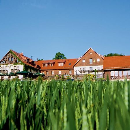 Hotel Neue Hoehe Klingenberg Экстерьер фото
