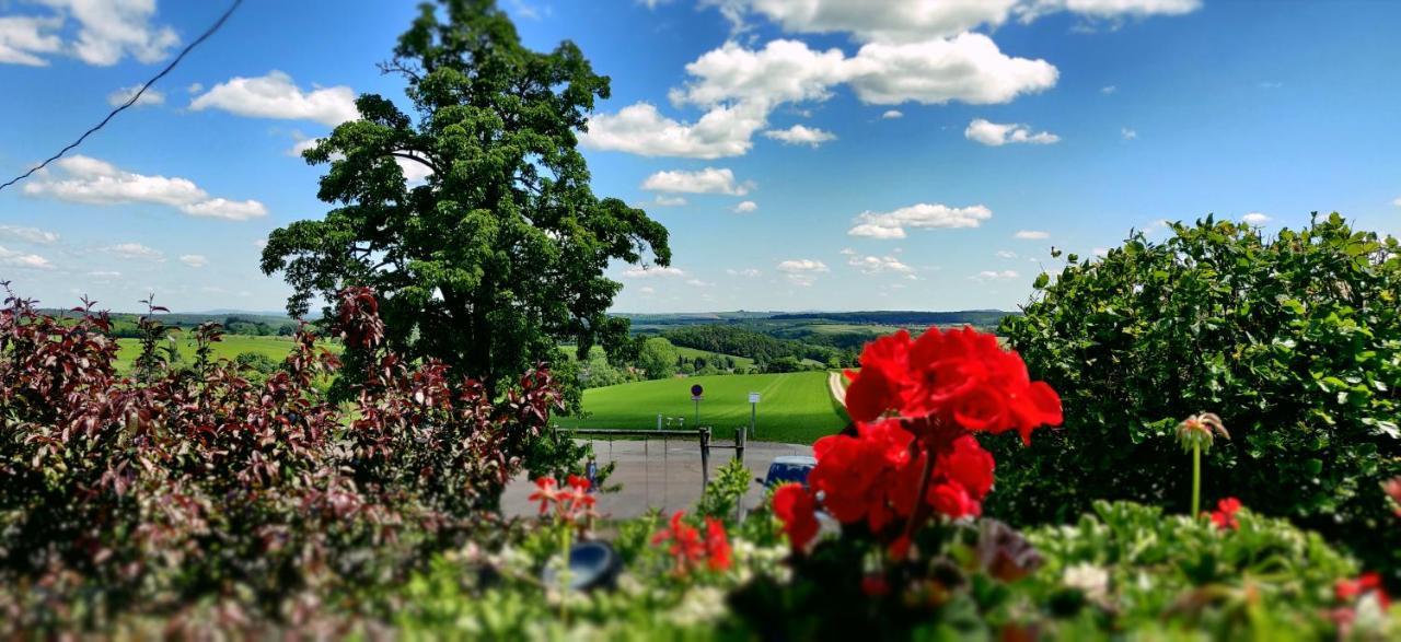 Hotel Neue Hoehe Klingenberg Экстерьер фото