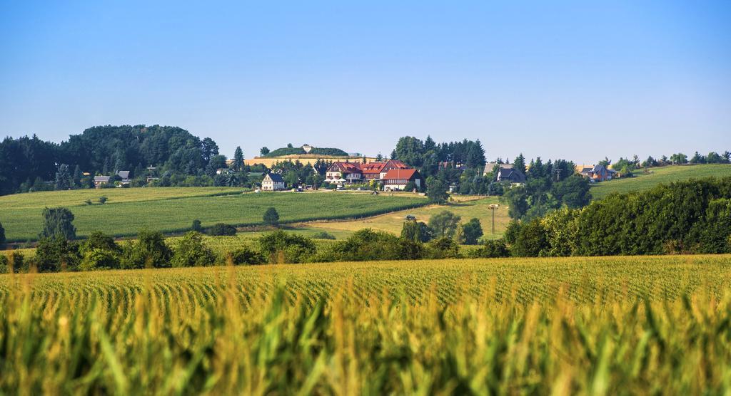 Hotel Neue Hoehe Klingenberg Экстерьер фото